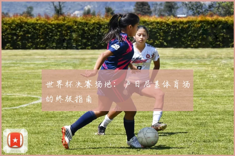 世界杯决赛场地：卢日尼基体育场的终极指南