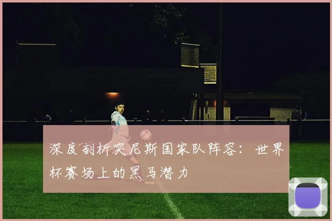 深度剖析突尼斯国家队阵容：世界杯赛场上的黑马潜力